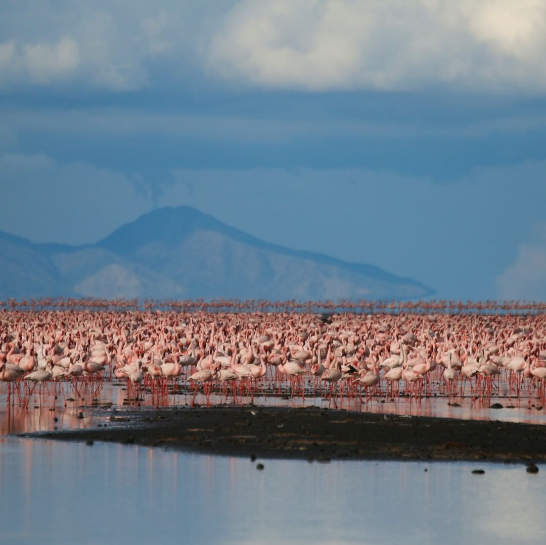 lake manyara national park